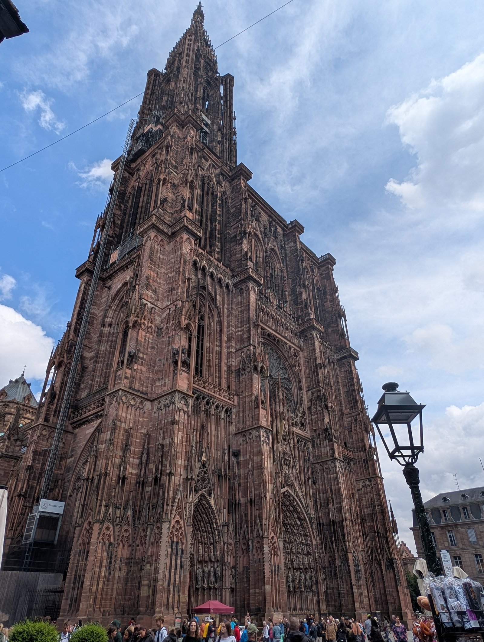 PXL 20250708 133258286